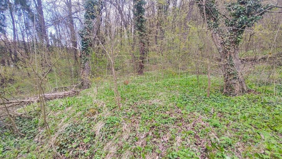 Teren Construcții intravilan de 10403 mp, în 15 Noiembrie