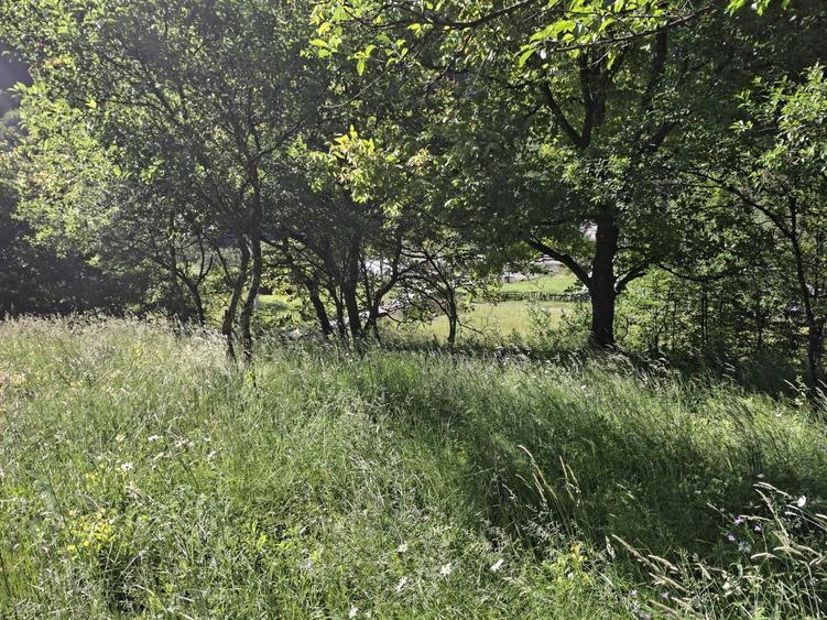 Vind teren la munte in Rau Sadului jud.Sibiu intravilan pozitie foarte buna - 4