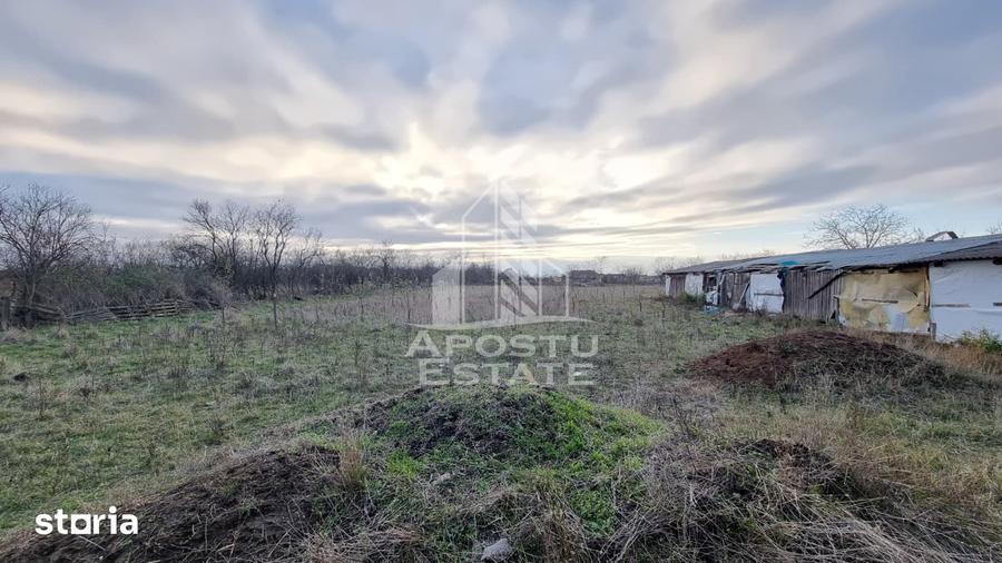 Casă cu 4 camere cu Teren 4414 Mp în Orțișoara