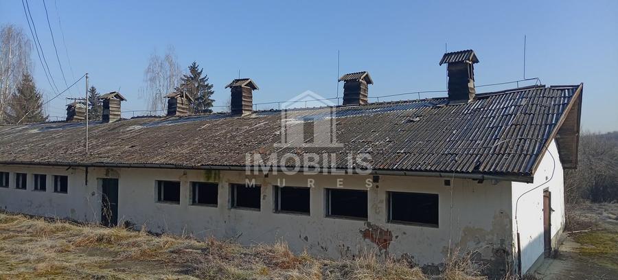 Teren Construcții intravilan de 13134 mp, în Budiului