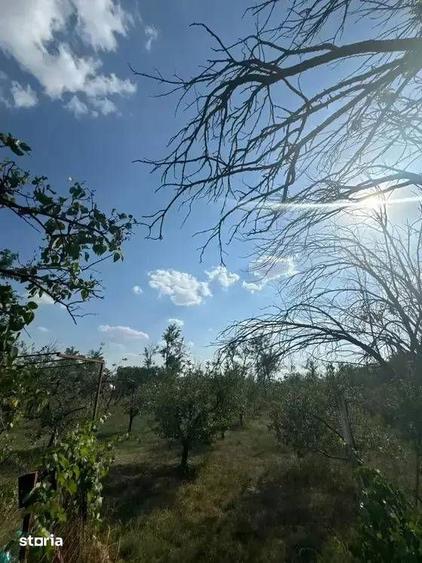 Casă cu 5 camere cu Canalizare în Ion Roată