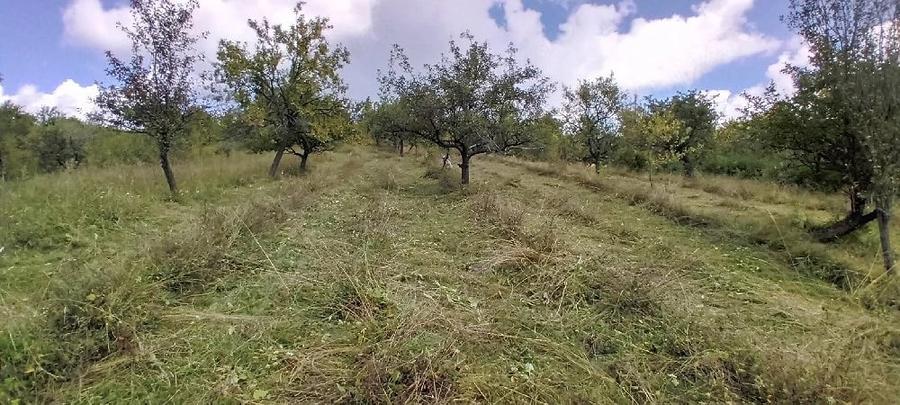 Teren de 12000 mp, în Suslănești