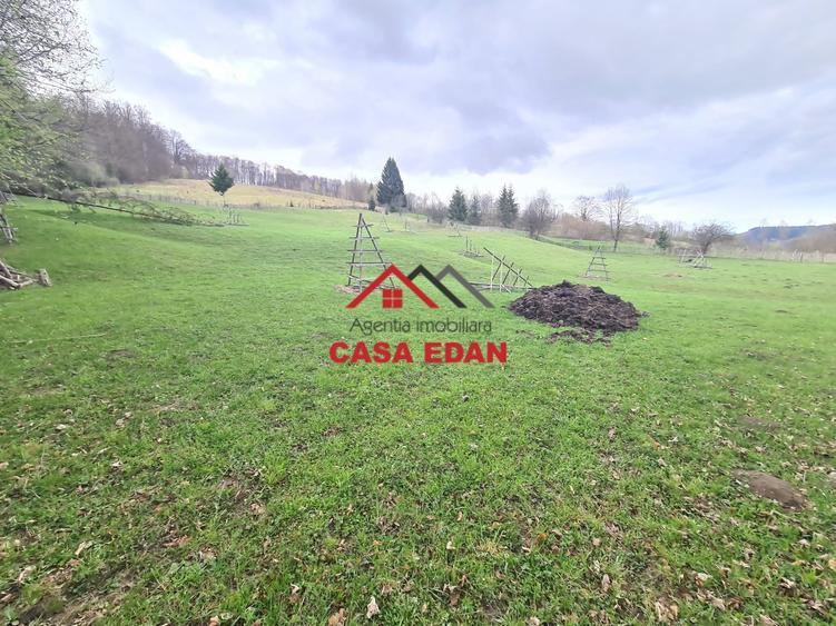 Teren extravilan de 20500 mp, în Valea Doftanei