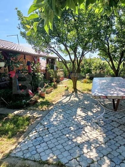 Teren agricol extravilan de 1000 mp, în Careiului