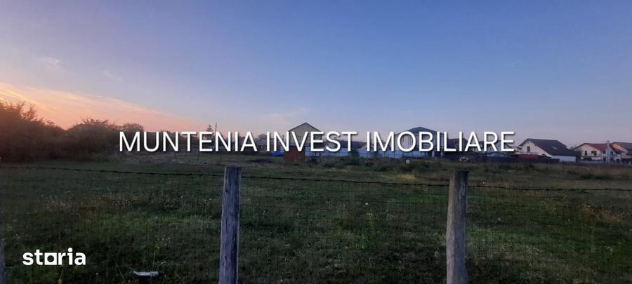 Teren 6000 mp. intravilan Smeura, str. Olteni - 5
