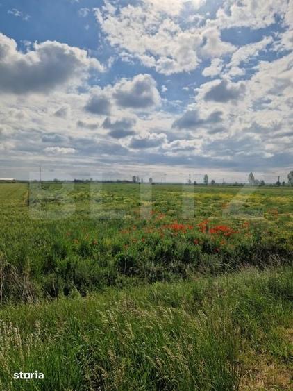 Teren de 20000 mp, în Central