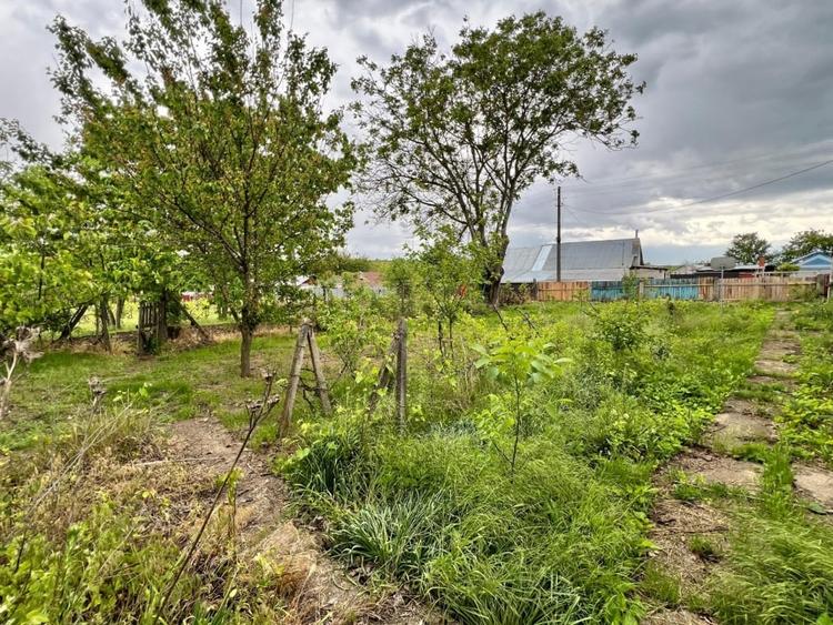 Casă individuală cu 4 camere cu Teren 4430 Mp în Tecucelu Sec