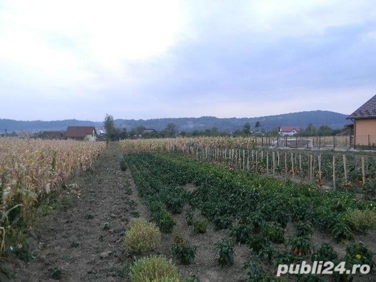 Teren în Valea Iașului