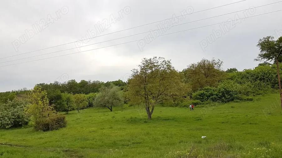 Teren de 38000 mp, în Central
