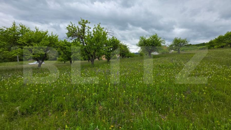 Teren Construcții intravilan de 830 mp, în Nord