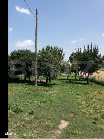 Casă cu 2 camere cu Teren 4700 Mp în Central