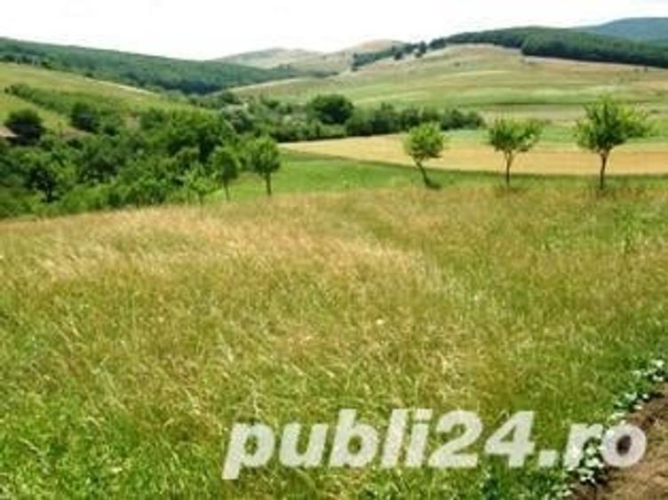 Teren de 6825 mp, în Ortelec