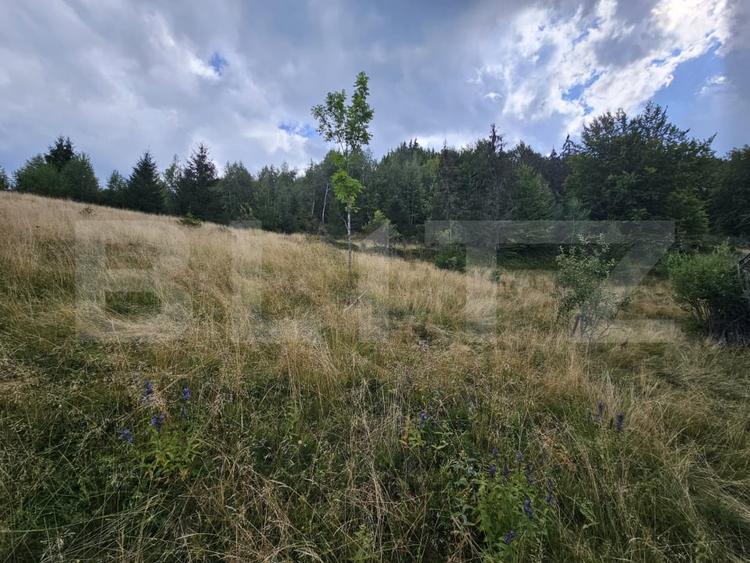 Teren Construcții intravilan de 5271 mp, în Gârda de Sus
