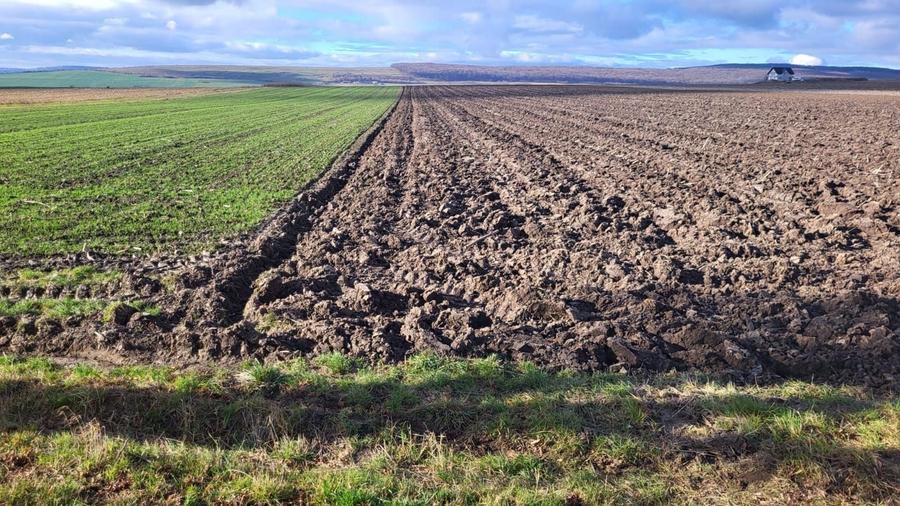Teren agricol extravilan de 3678 mp, în Mitocu Dragomirnei