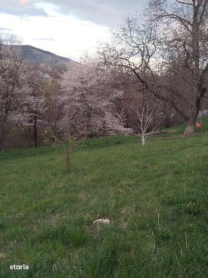 Teren de 4000 mp, în Central
