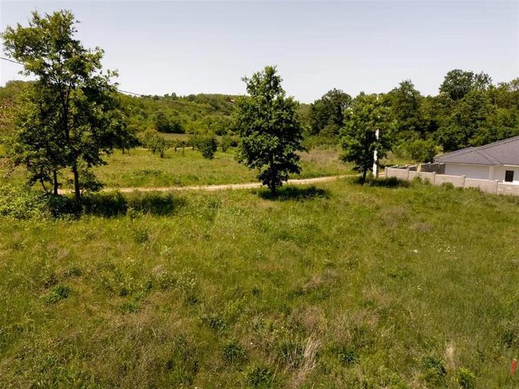 Teren intravilan de 600 mp, în Săldăbagiu de Munte