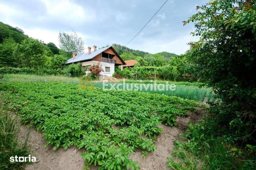 Casă cu 3 camere cu Teren 4696 Mp în Central