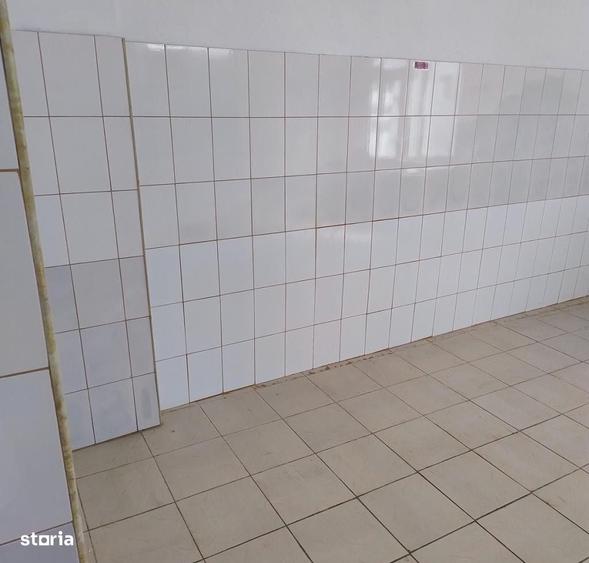 Spațiu comercial, de 40 mp, în Cișmigiu