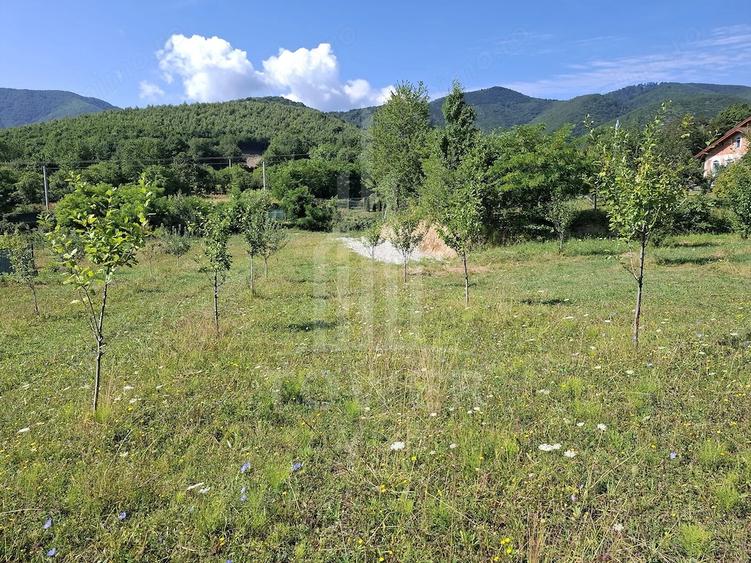 Teren de 650 mp, în Sadu