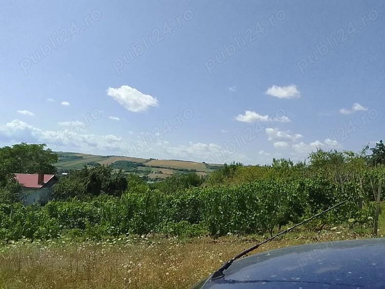 Teren de 6100 mp, în Cehal