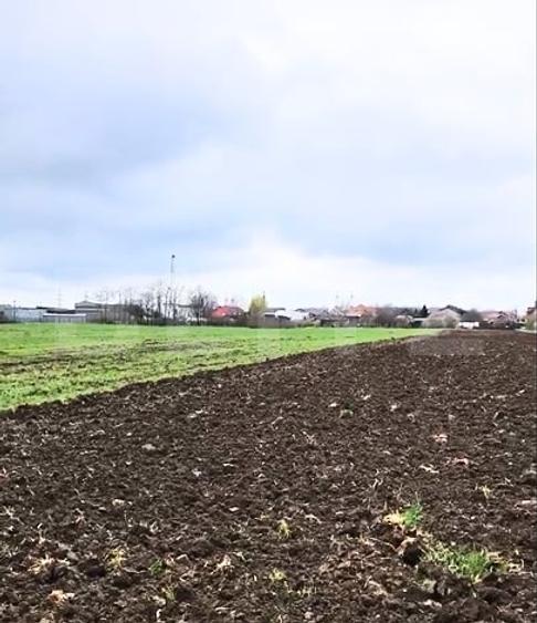 Teren agricol intravilan de 19650 mp, în Titu