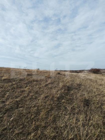 Teren agricol extravilan de 61500 mp, în Moldovenești