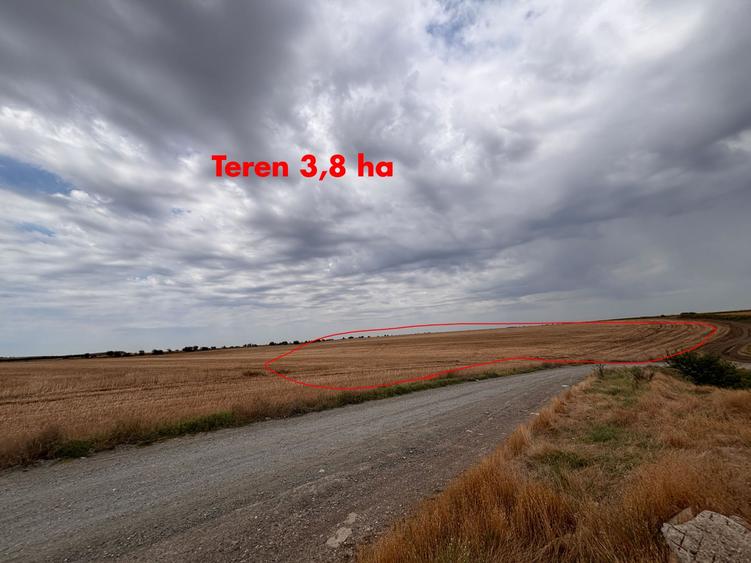 Teren agricol extravilan de 120000 mp, în Vlad Țepeș