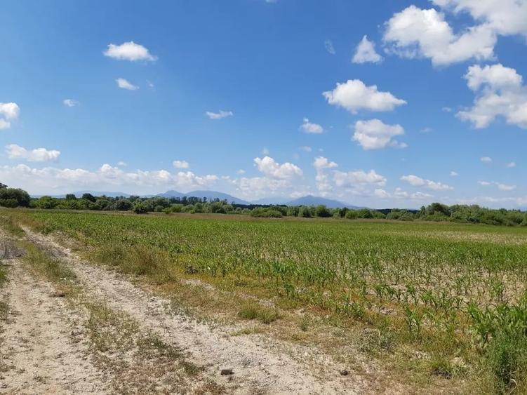 Teren de 20300 mp, în Ilieni