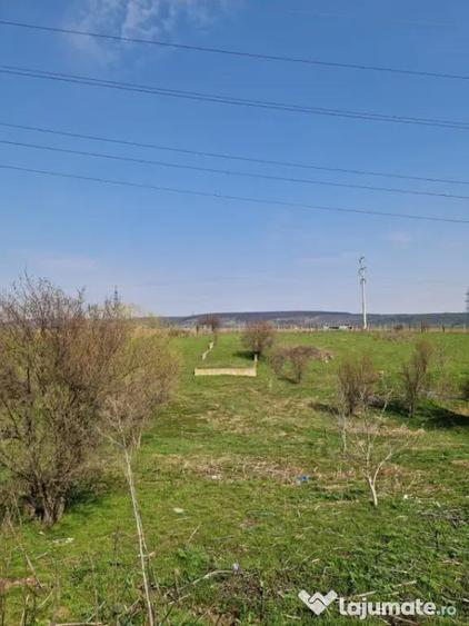 Teren în Pielești