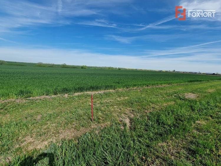 Teren agricol extravilan de 9500 mp, în Remetea Mare