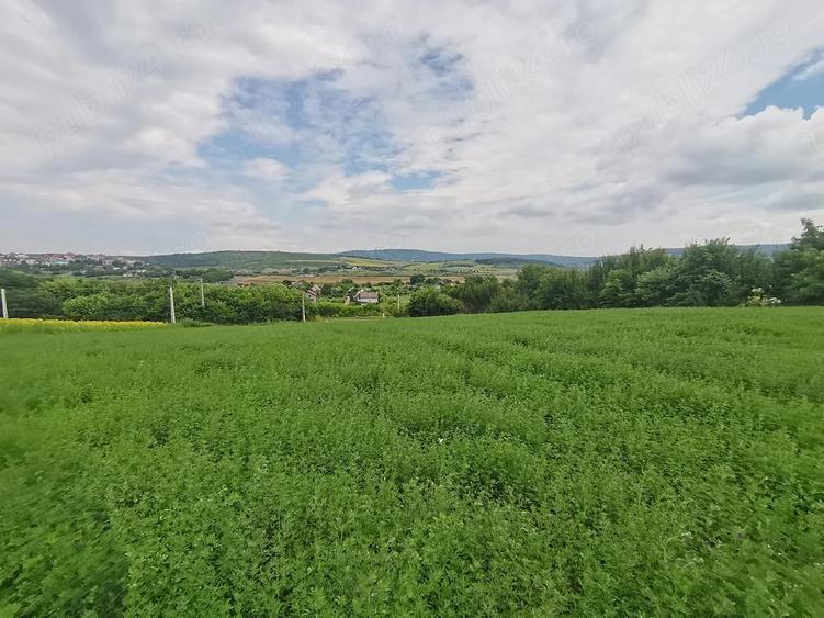 Teren de 500 mp, în Lunca Cetățuii