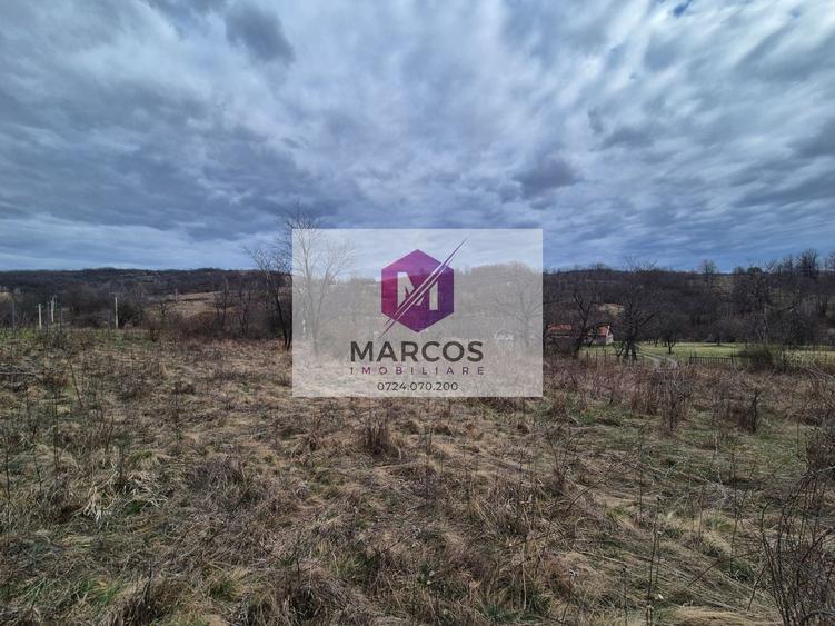 Teren agricol extravilan de 11400 mp, în Iabalcea