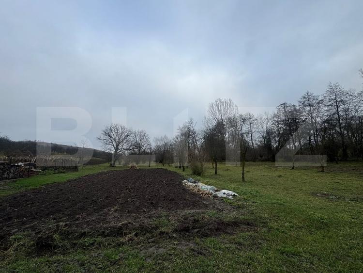 Casă individuală cu 2 camere cu Canalizare în Hunedoara