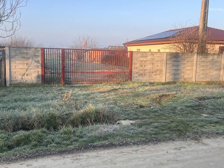 Teren de 934 mp, în Peciu Nou