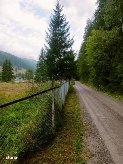 Teren de 1500 mp, în Mitocu Dragomirnei