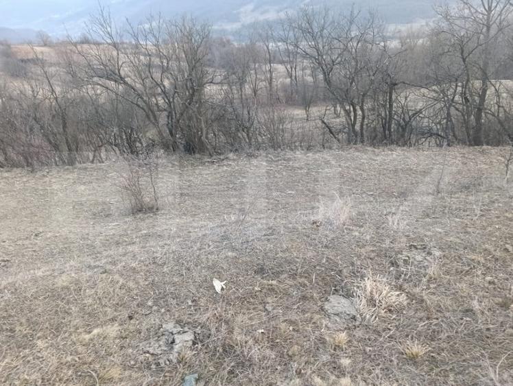 Teren intravilan 4300 mp apa si curent In Ampoita - 2