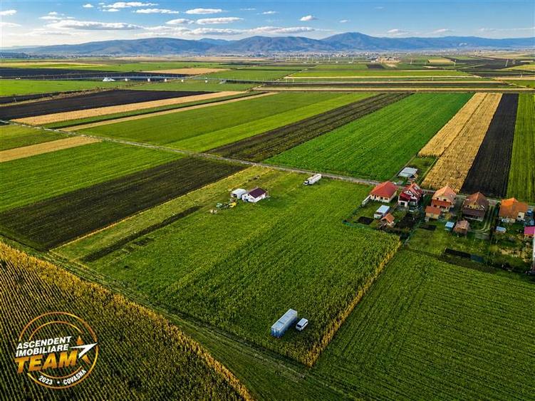 Teren Construcții intravilan de 2493 mp, în Chilieni