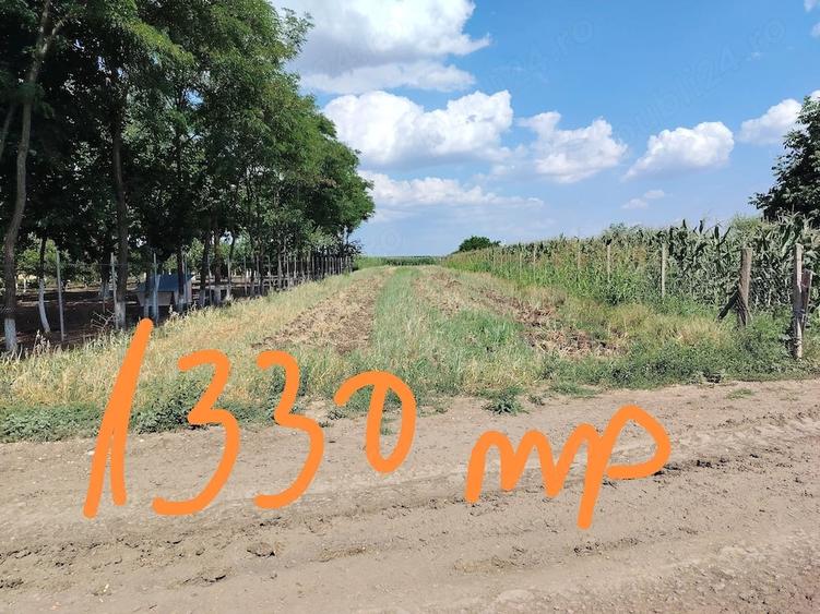 Teren de 4300 mp, în Cudalbi