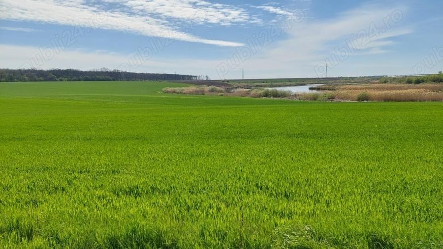 Teren de 20000 mp, în Vadu Anei