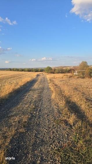 Teren de 520 mp, în Nojorid