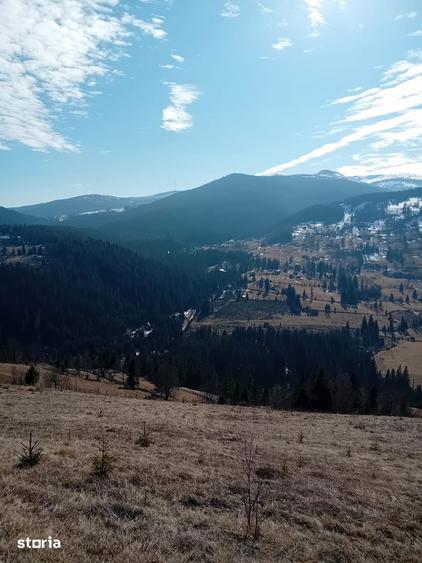 Teren de vanzare zona de munte, panoramic, lini?te totala - 4