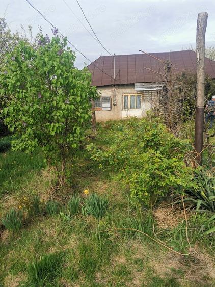 Casă cu Teren 1600 Mp în Dumbrăvești