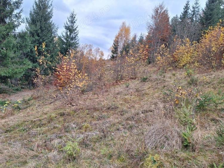 Teren de 1000 mp, în Fericet