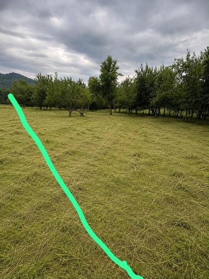 Teren de 3700 mp, în Corbșori