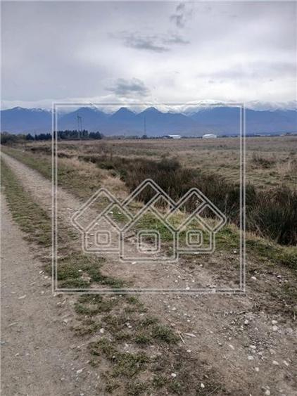 Teren agricol extravilan de 2600 mp, în Cârțișoara