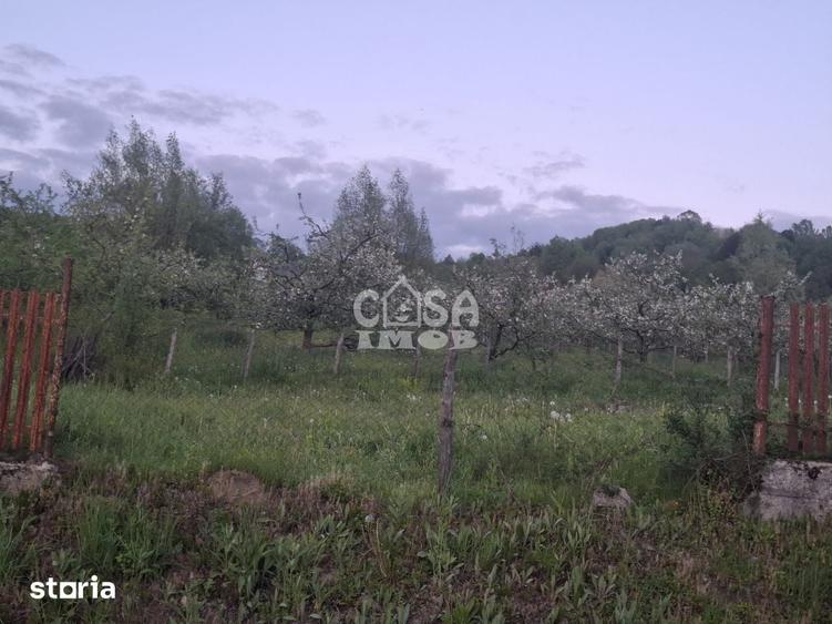 Vanzare teren livada in com. Barbuletu, jud. Dambovita - 11