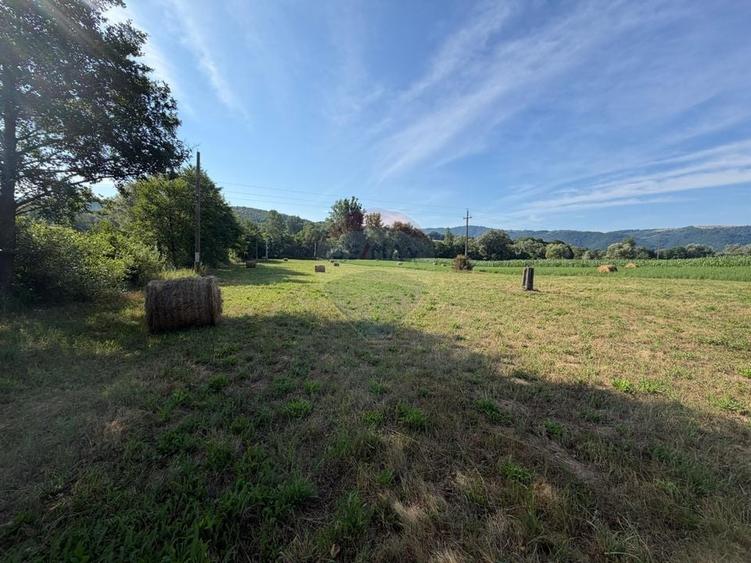 Teren Construcții intravilan de 5162 mp, în Berința