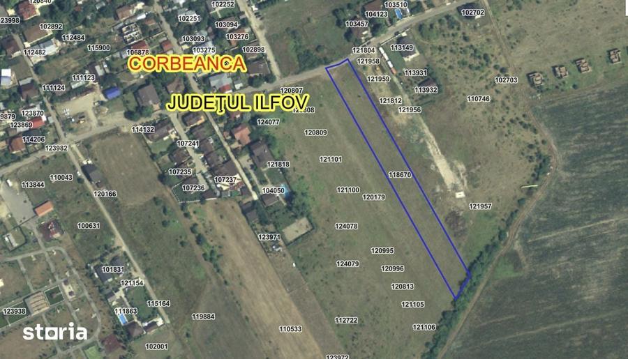 Teren Intravilan 5.187mp Corbeanca P+2E+M - 3