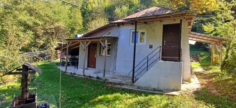 Casa vacanta Lopatnita Prahova - 5