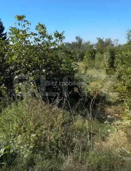 Teren intravilan, 1.539 mp, zona Valea Voievozilor